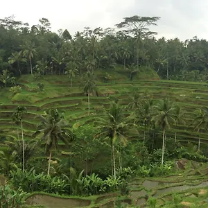 https://pangkung-house.ubudhotelsnow.com